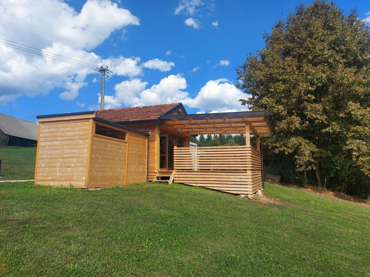 Lahinja & Kolpa River Apartments Metlika Exterior photo